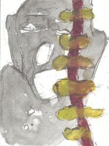 spine_Photo_2026-05-23_150044_10